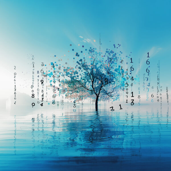 The story of Free Cherry Violins